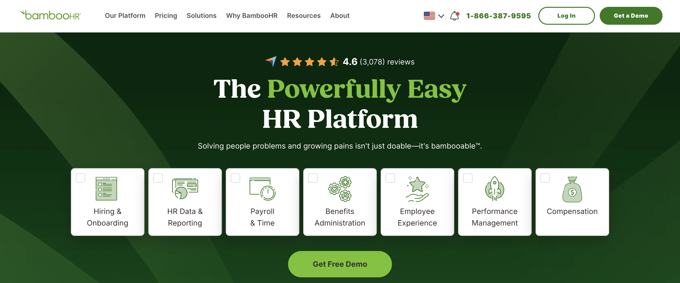 BambooHR dashboard screenshot